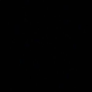 Meet your Posher, Lexi